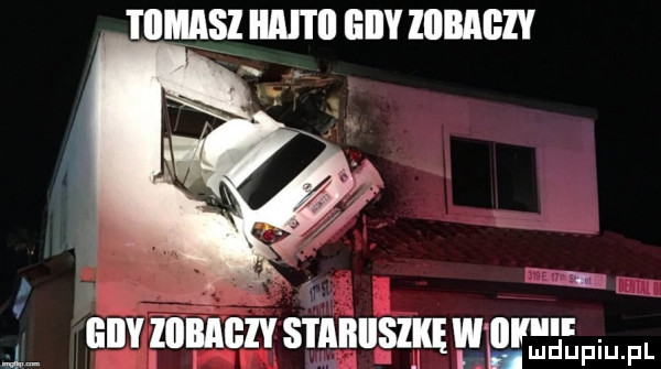 tomasz haiti el   mb t   i