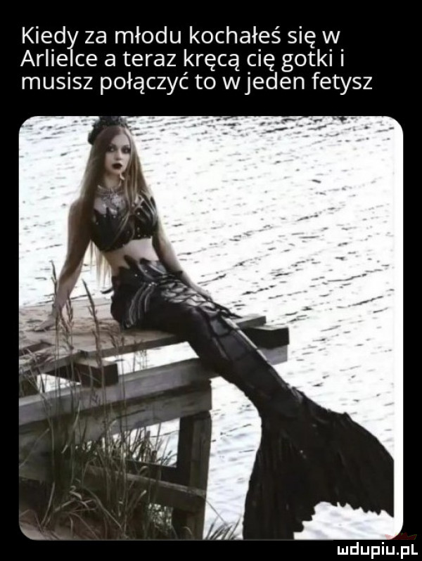 kred za miodu kochałeś się w arbie ce a teraz kręcą cię gotki i musisz połączyć to wjeden fetysz