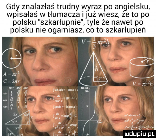 gdy znalazłaś trudny wyraz po angielsku wpisałaś w tłumacza iluż wiesz że to po polsku s zkarłupnie tyle że nawet po polsku nie ogarniasz co to szkarłupień