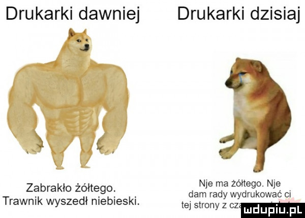 drukarki dawniej p j zabrakło żóhega. trawnik wyszedł niebieski. drukarki dzisiaj nie ma żółtego. nie dam rady wydrukować ci te strony z cz