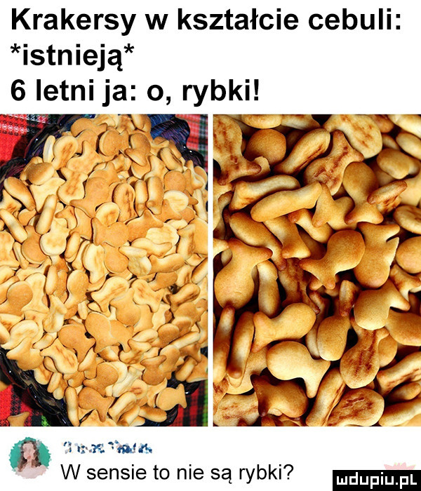 krakersy w kształcie cebuli istnieją   letni ja o rybki. um run. w sensie to nie są rybki