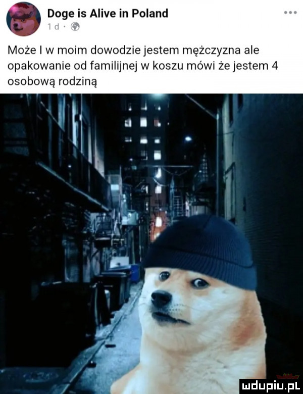 doje is alice in poland t może i w moim dowodzielestem mężczyzna a e opakowanie od famihjnej w koszu mów żejestem   osobową rodziną