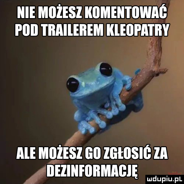 nie mozesz komentowaś plii i mlleiiem kleilpaziły     f ale mozesz gl zgłdsiś za iieziiifiibmagię d. lu uplu pl