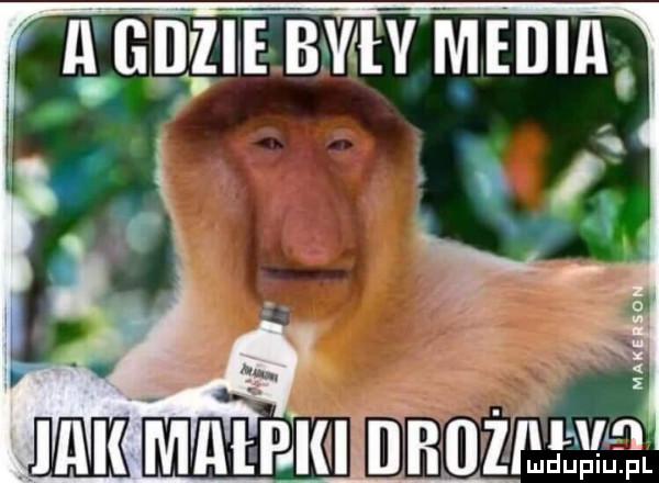 pigiiilhuziłh łl jak mai