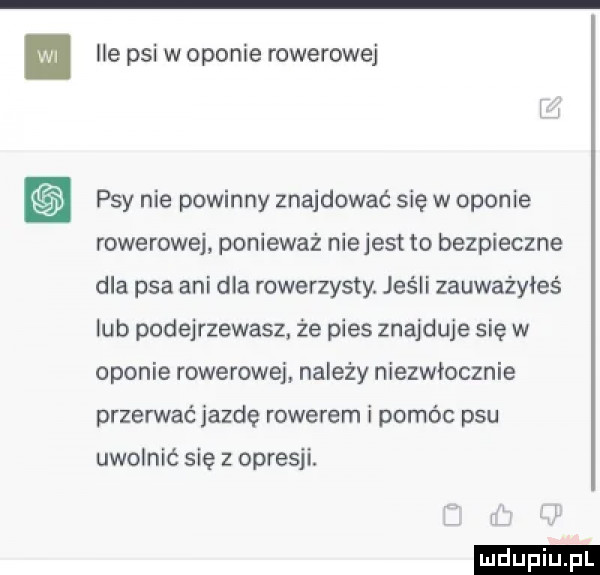 wi ile psi w oponie rowerowej psy nie powinny znajdować się w oponie rowerowej ponieważ niejest to bezpieczne dla psa ani dla rowerzysty. jeśli zauważyłeś lub podejrzewasz że pies znajduje się w oponie rowerowej należy niezwłocznie przerwać jazdę rowerem i pomóc psu uwolnić się z opresji