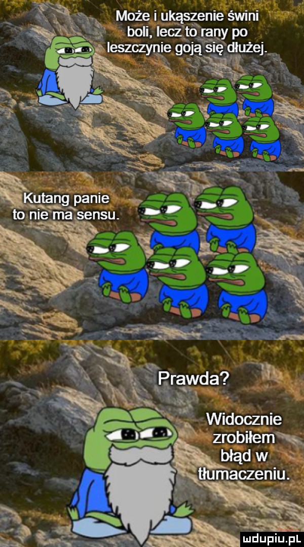 może i ukąszenie świni boli lecz to rany po. l ieszczynie goją się diuzej. n kutang panie. abakankami to ni ma sensu. na widocznie zrobiłem w błąd w kw x w ludupiu. pl