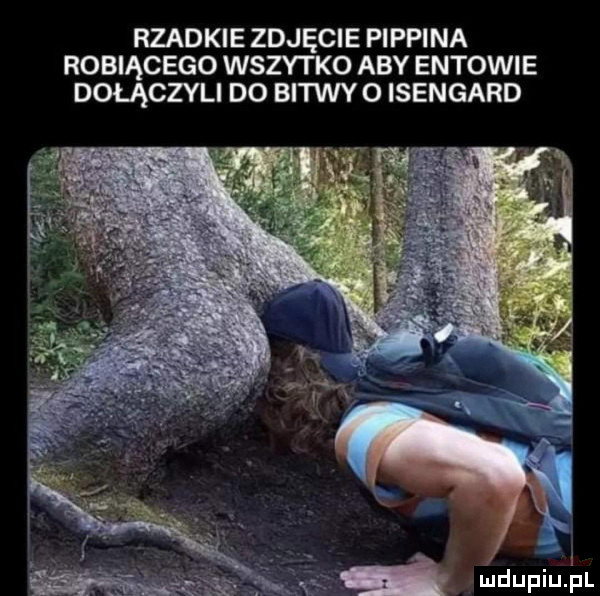 rzadkie zdjęcie pippina robiącego wszytko aby entowie dołączyli do bitwy o isengard d ludupiujal