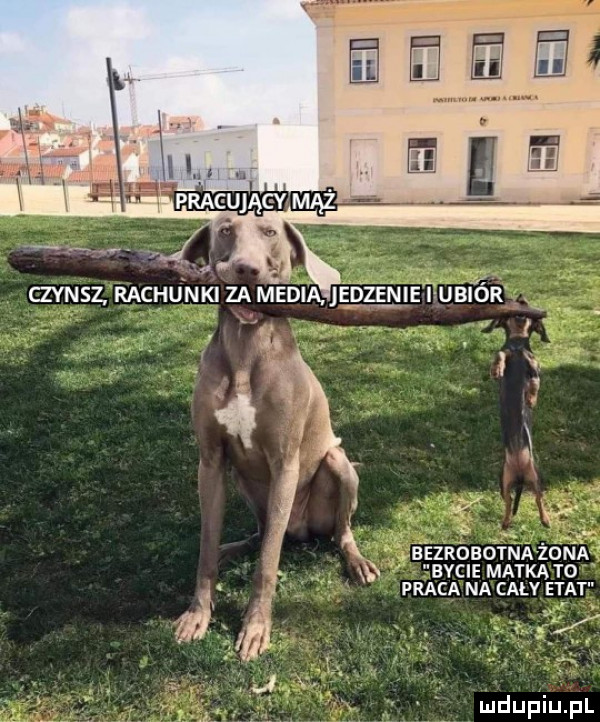 byc ie mzyka to praca na cały etat