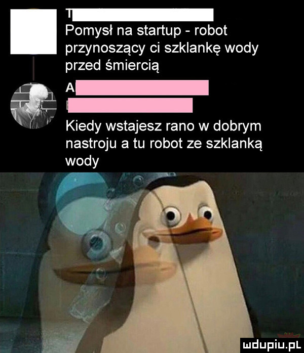 pomysł na startup robot przynoszący ci szklankę wody przed śmiercią a kiedy wstajesz rano w dobrym nastroju a tu robot ze szklanką wody