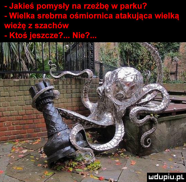 Obrazek