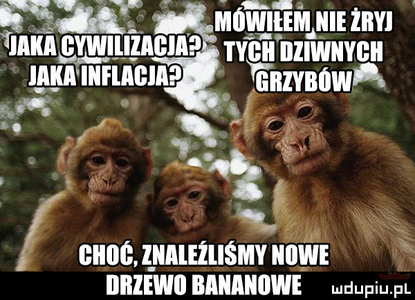 iviei l nzlwuvcn ii nzvmiwﬁ nude z unuźuśmv naw nnziwn nnnnunw w