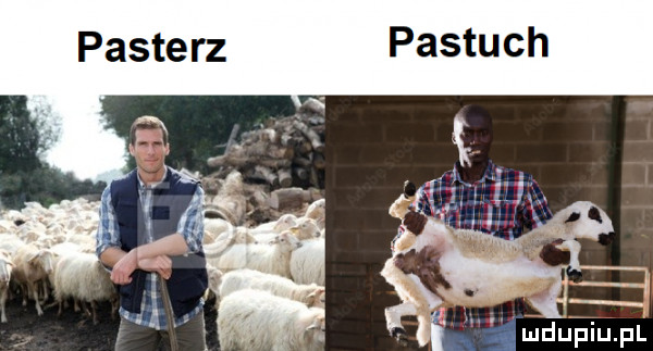 i śmdupiu. pl