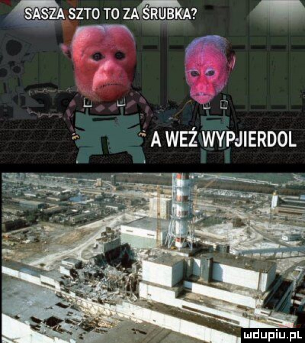 sasza seto to zacśrqbka a waż wypjierdol mdupiu. pl