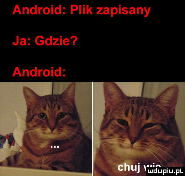 Obrazek