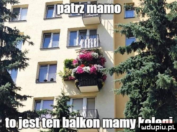 m l mie lizen balkon aan p       be