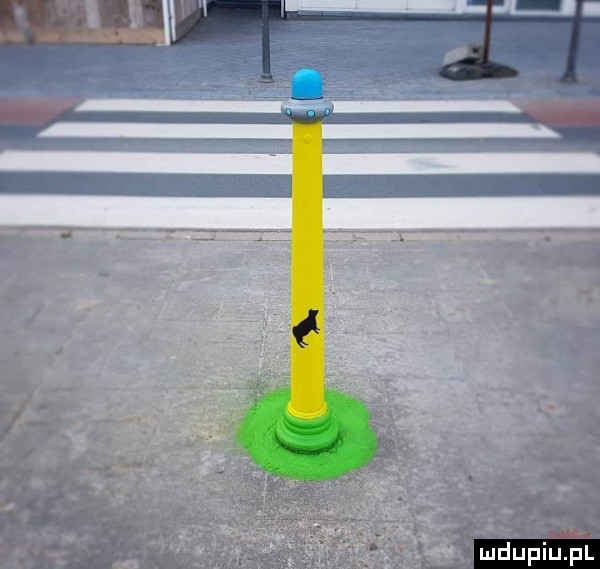 upiu pl