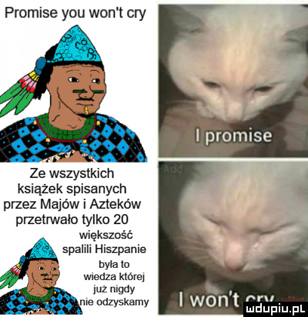 promile y-u won t cny ze wszystkich książek spisanych przez majów i azteków przetrwało tylko    większość spalili hiszpanie była to wiedza które już nigdy. nru nieodzyskany iwon mdupqul