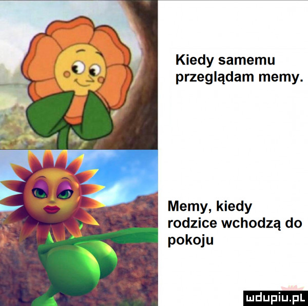 kiedy samemu przeglądam memy. memy kiedy rodzice wchodzą do pokoju ludu iu. l