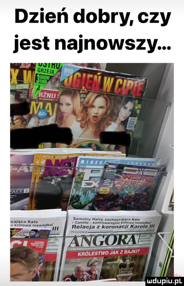 dzień dobry czy jest najnowszy