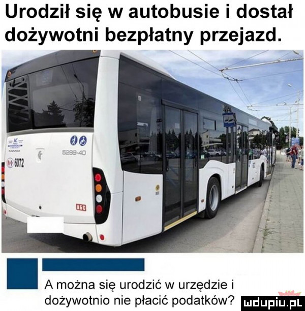 urodził się w autobusie i dostał dożywotni bezpłatny przejazd. a można się urodzić w urzędzie i dożywotnio nie płacić podatków