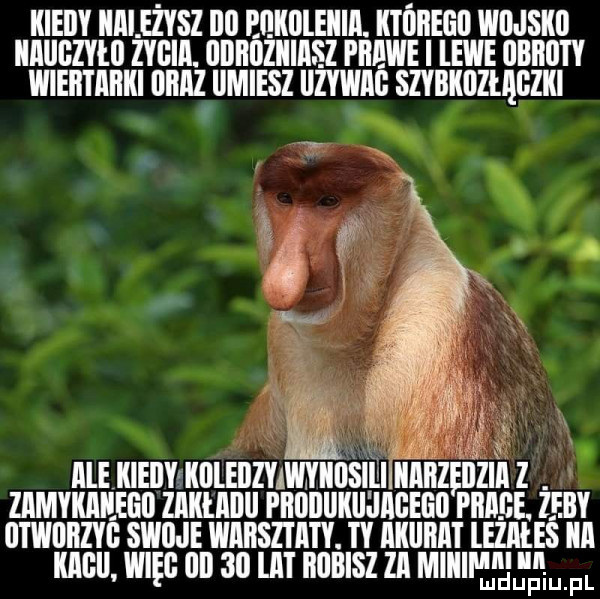 kiedy należysz ibl bakaleiiia. ktaaeaii wii imin iiallgzyłl zveia. aaadziiiasz prawe i lewe blauty wiertarki iiaaz umiesz zywag szybkazłagzki yx. ale kiecy kalebzyawniiisiiłiiiiaazęaziaz. zamykaeeai zakłallll paaaukiiśiageeii mime zeby atwiiazyg swoje warsztaty. ty akiiaat lezałes ica kaa więc     lat aabisz za miiiiiw