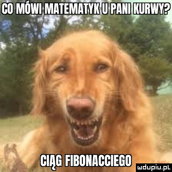 ell mil matematyk uipmii kurwy. abakankami i a s zł ciąg fibijiiaggiegij   mduplu pl