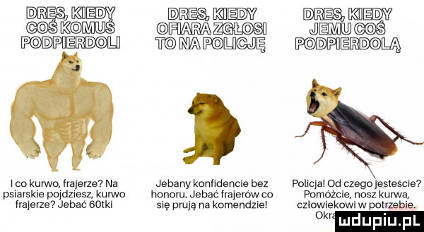 dres kiedy dres dres kern s xm abs flara zaglq s i jemm p dpierdgli tempolicj pgdpiw   woo kurwo lrsjevze na jebany kanndencne bez puma od czego          psmskne pojdzwesz kum o honoru. jebac frajeww co pomuzcie nasz kurwa mane jebac   m się mulą na komendmel adm lekow. w potrzeb