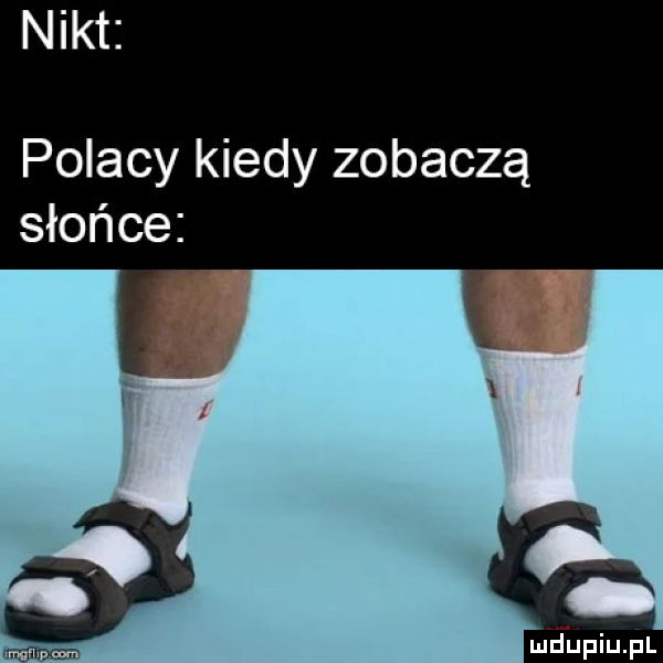 nikt polacy kiedy zobaczą słońce