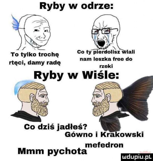 ryby w odrze m nam leszka irce do rxakl ryby w wiśle u to tylko trochę rtęcl damy radę co dziś jadłeś gówno i kra obski mefedron mmm pychota