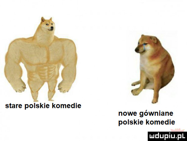 stare polskie komedie nowe gówniane polskie komedie