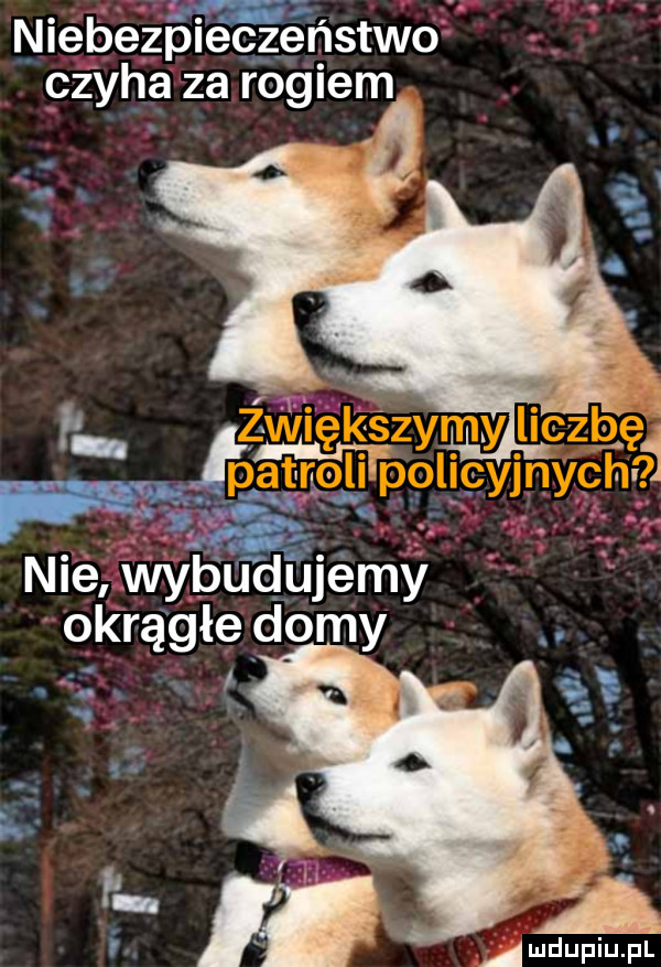 niebezple czerstwo czyha za rogiem