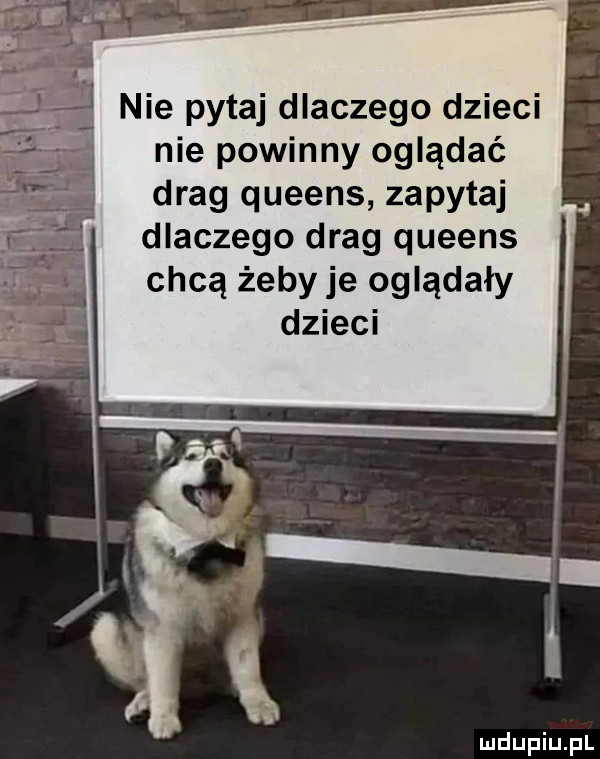 nie powinny oglądać drag queens zapytaj dlaczego drag queens chcą żeby je oglądały dzieci