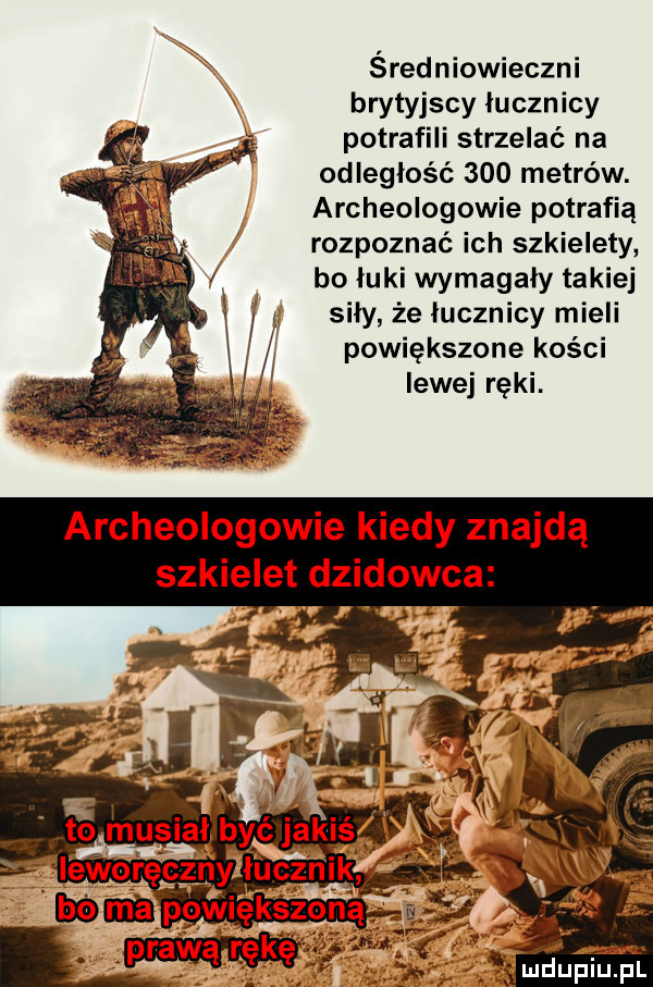 rn średniowieczni brytyjscy łucznicy potrafili strzelać na odległość     metrów. archeologowie potrafią rozpoznać ich szkielety bo łuki wymagały takiej siły że łucznicy mieli powiększone kości lewej ręki. archeologowie kiedy znajdą szkielet dzikowca  t er nsiauiayc u kié x ieworęgzny łh ctzni   e powfvieksz o i. prwaąrkę
