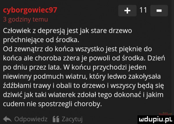 cyborgowiec        godzmy temu człowiek z depresją jest jak stare drzewo próchnica jace od środka od zewnątrz do końca wszystkojest pięknie do końca ale choroba zżerane powoli od środka. dzień po dniu przez iata. w końcu przychodzijeden niewinny podmuch wiatru który ledwo zakołysała z dubiami trawy i obali to drzewo i wszyscy będą się dziwić jak taki wiaterek zdołał tego dokonać ijakim cudem nie spostrzegli choroby. ii