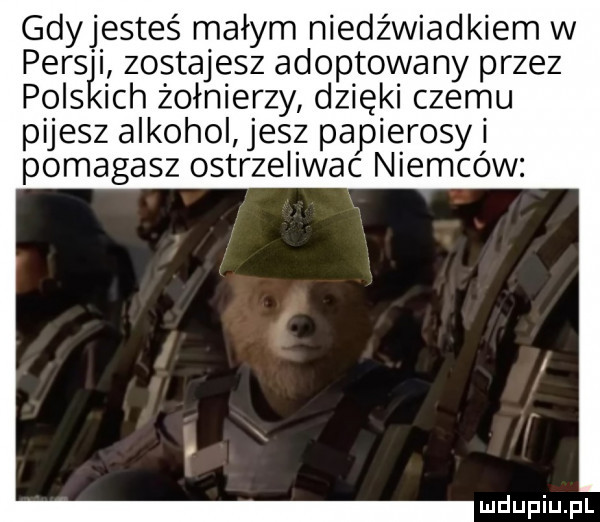 gdyjesteś małym niedźwiadkiem w pers i zostajesz adoptowa ny przez pils ich żołnierzy dzięki czemu pijesz alkohol jesz papierosy i pomagasz ostrzeliwac niemców