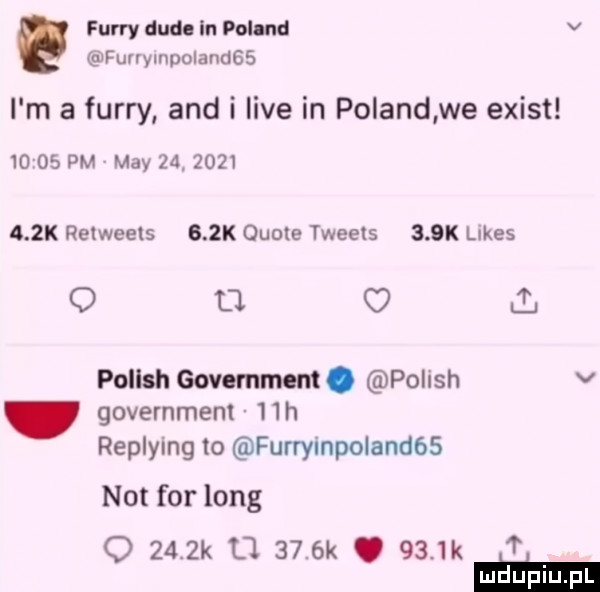 furry dud in poland v fuuymoolandgs i m a furry and i live in poland we egist       pm may             k relweels    k quote tweels    k limes o l l ł polish government. poiish v government   h replying to furrympolandós not for long o    k       k.     k t