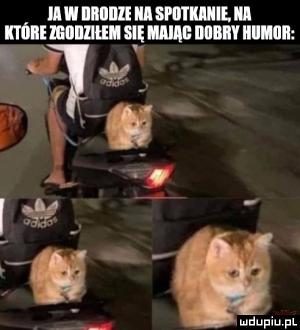 ii w iiiioille ica spotkanie ica mai igiiiiiiem się me iiiiiiiiy illlﬂllll w są. i s   a