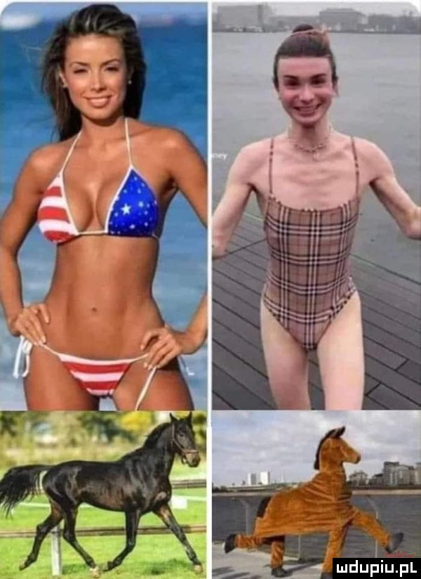 mdupiﬁpl