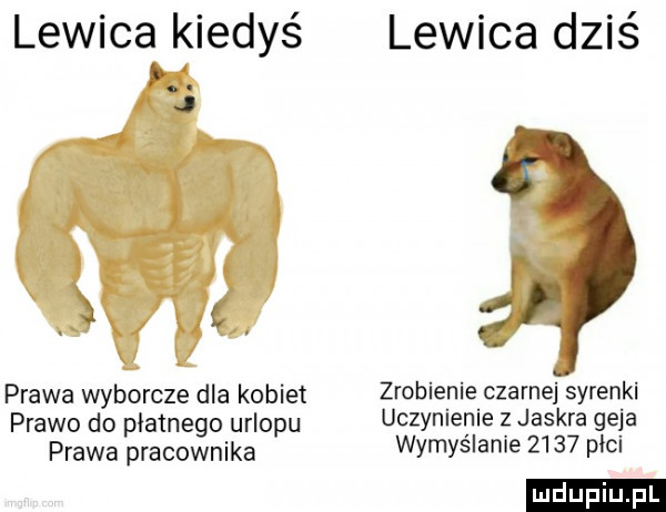 lewica kiedyś fr. prawa wyborcze dla kobiet prawo do płatnego urlopu prawa pracownika lewica dziś zrobienie czarnej syrenki uczynienie z jaskra geja wyrys lanie      pici