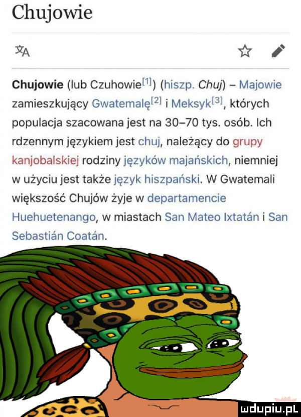 czujowie ya i czujowie lub czuhowiem hiszp. chuj majowie zamieszkujący gwatemalęlzi i meksyk    których populacja szacowana jest na       tys. osób. ich rdzennym językiem jest chuj należący do gaimy jiiiilćiej rodziny języków majańskich niemniej w użyciu jest takźejezyk hiszpanski. w gwatemali większość chujów żyje w departamencie huehuetenango w miastach san meteo ixtata n i san sebastian coatan