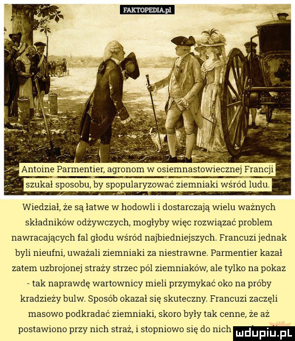 faktdfebląpl antoine parmentier agronom w osiemnastowiecznej francji szukal sposobu by spopularyzowac ziemniaki wsrod ludu wiedzial że są latwe w hodowli i dostarczają wielu ważnych składników odzywczych. mogłyby więc rozwiązać problem nawracających fal glodu wśród najbiedniejszych francuzi jednak byli nieufni uwazali ziemniaki za niestrawne parmentier kazal zatem uzbrojonej strazy strzec pól ziemniaków ale tylko na pokaz tak naprawdę wartownicy mieli przymykac oko na próby kradzieży bulw sposob okazał się skuteczny francuzi zaczeli masowo podkradac ziemniaki skoro byly tak cenne. że aż postawiono przy nich straz i stopniowo się do nich ludupiu l