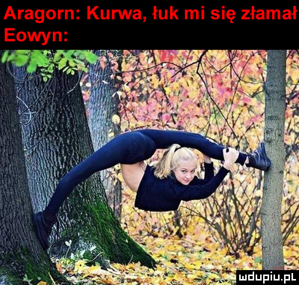 aragorn kurwa łuk mi się złamał