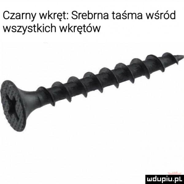 czarny wkręt srebrna taśma wśród wszystkich wkrętów ludu iu. l
