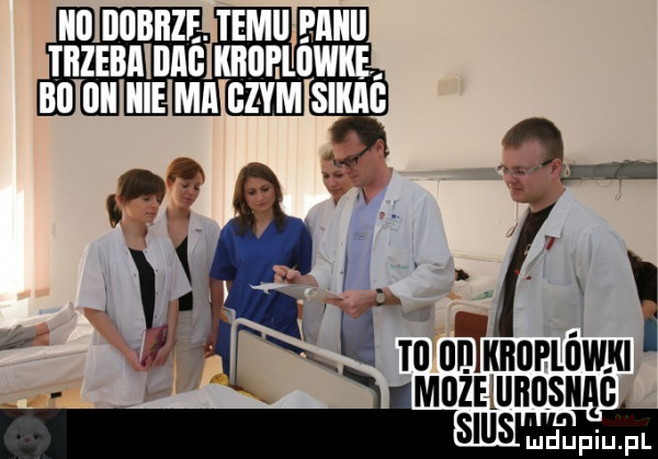 i jl fao mamami ilméfugm cl
