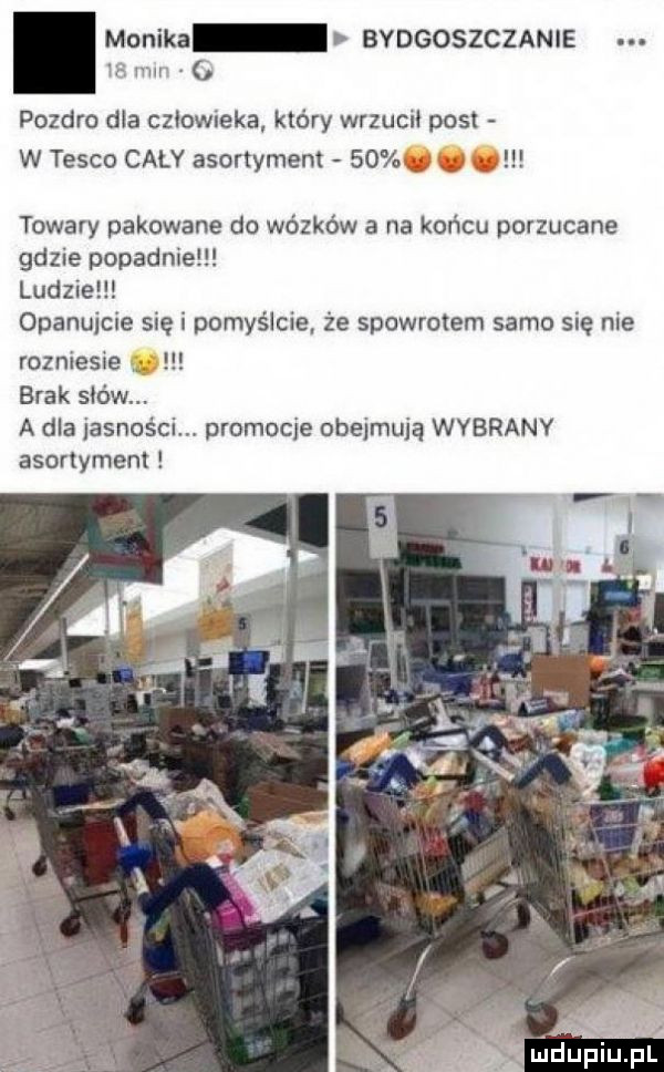 monika bydgoszczanie w mu pozdro ma czlowieka który wrzuci pos w tesco cały asortyment    towary pakowane do wózków a na końcu porzucane gdzie popadnie ludzie opanujcie się i pomyślcie że spowrotem samo się nie rozniesie. brak s ów a dla jasności promocje obejmują wybrany asortyment