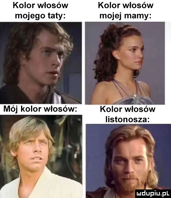 kolor włosów mojej mamy kolor włosów mojego taty kolor włosów listonosza mdﬁpiupl