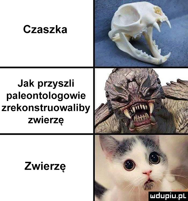 jak przyszli paleontologowie zrekonstruowaliby zwierzę zwierzę