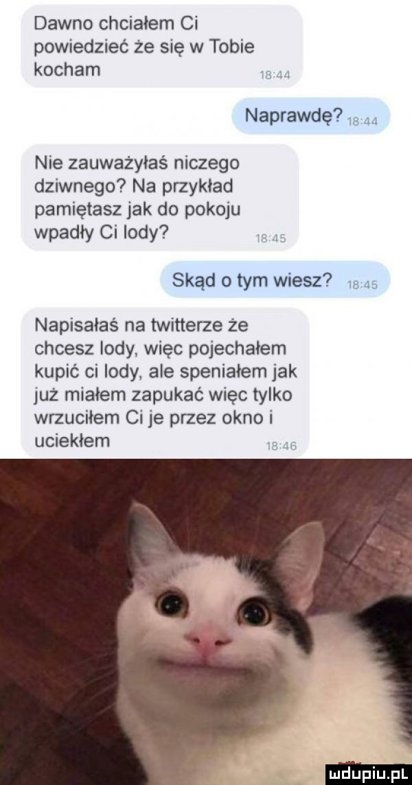 dawno chciałem ci powiedzieć że się w tobie kocham ig naprawdę  e nie zauważyłaś niczego dziwnego na przykład pamiętasz jak do pokoju wpadły ci lody skąd o tym wiesz    as napisałaś na twitterze że chcesz lody więc pojechałem kupić ci lody ale speniałem jak już miałem zapukać więc tylko wrzuciłem ci je przez okno i uciekłem
