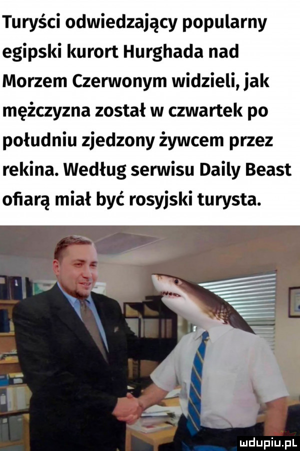 turyści odwiedzający popularny egipski kurort hurghada nad morzem czerwonym widzieli jak mężczyzna został w czwartek po południu zjedzony żywcem przez rekina. według senniku dainy beast ofiarą miał być rosyjski turysta