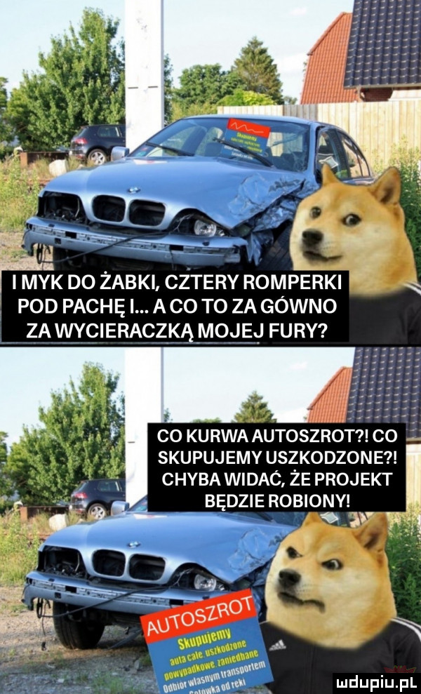 imak do żabki cetery romperki xx pod pachę. abo to za gówno za wycieraczkąmoąęj fury co kurwa autoszrot co. skupujemy uszkodzone chyba widac że pruj edt będzie robiony o v s